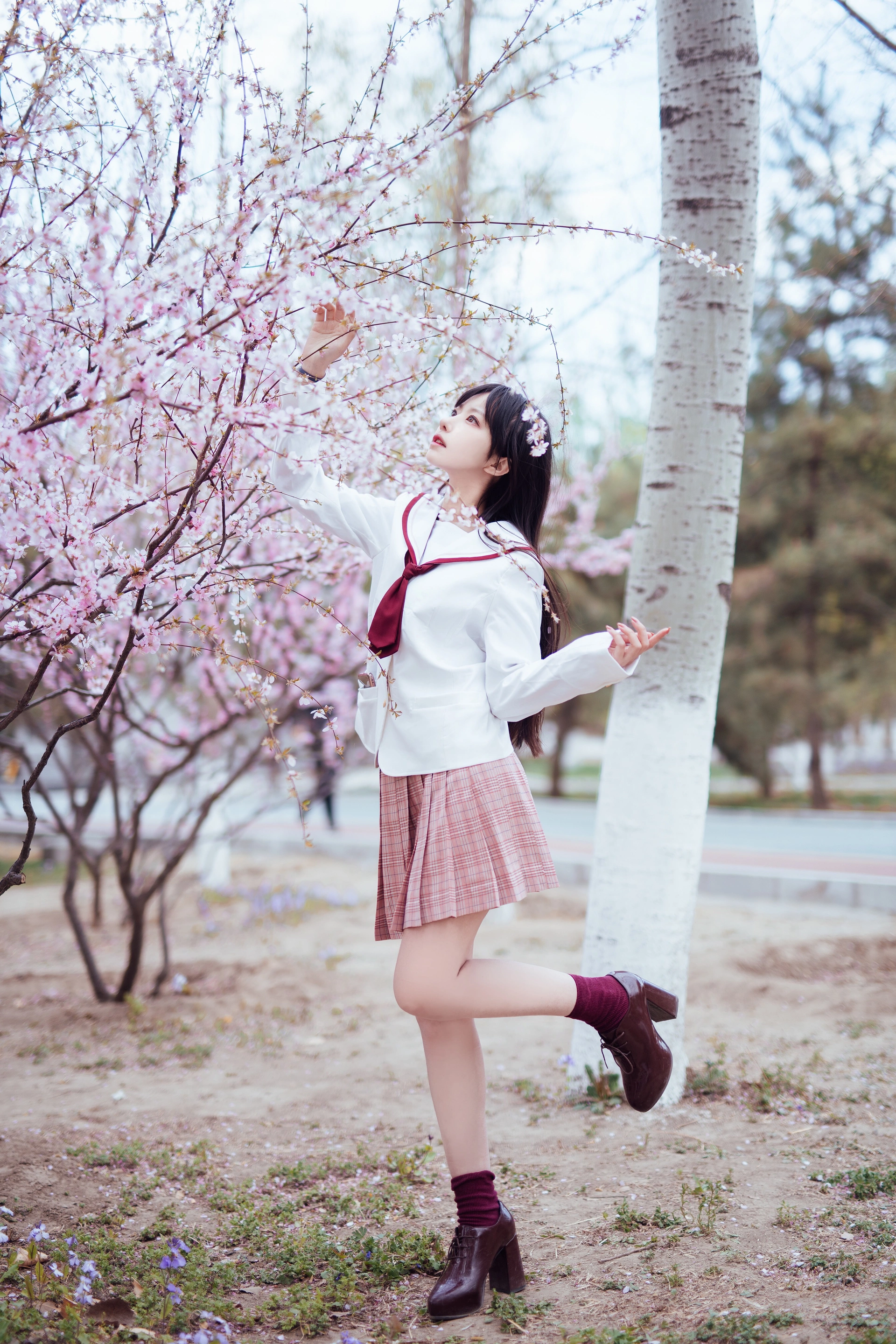 Shika小鹿鹿 - NO.47 樱花 3